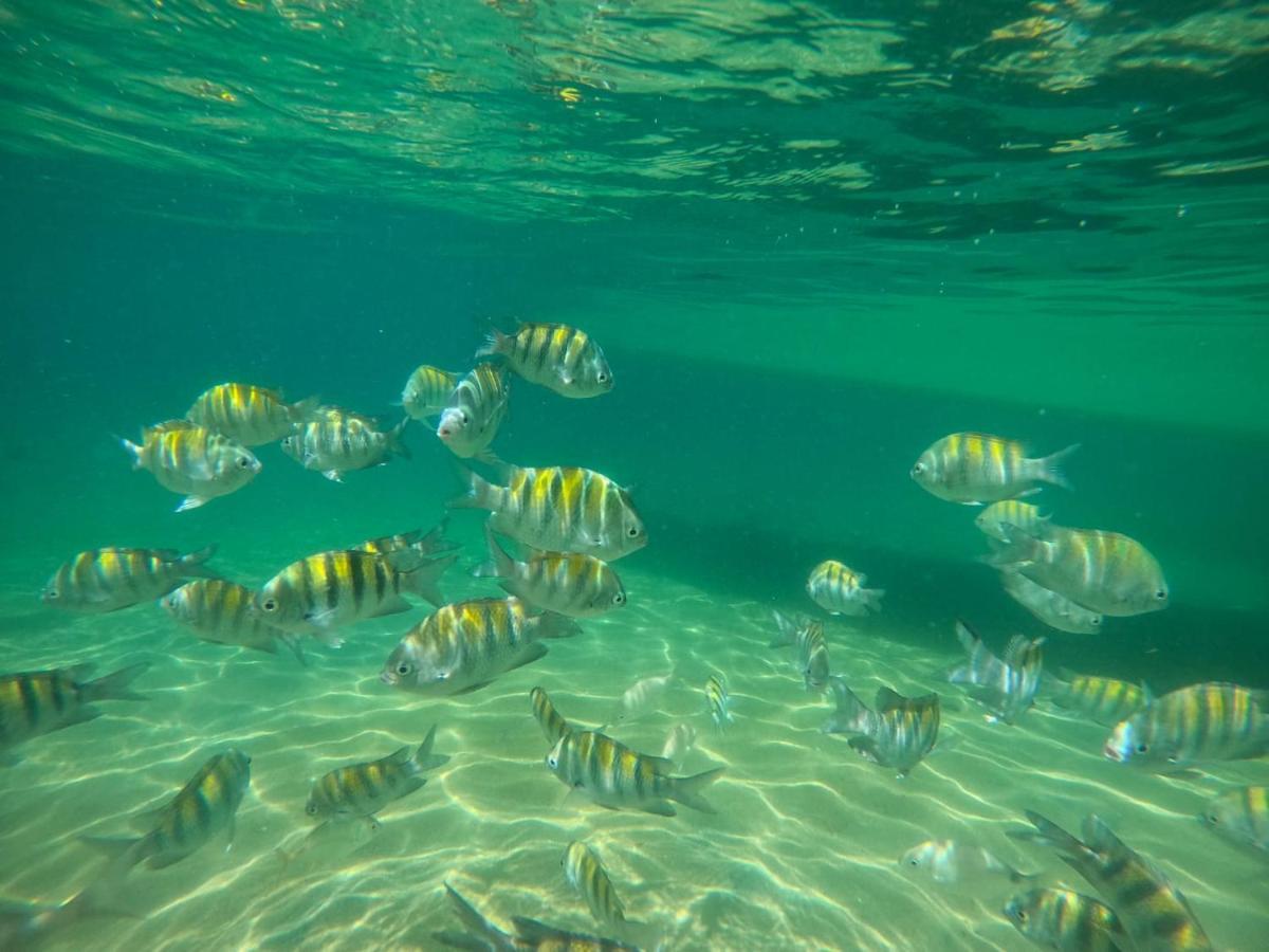Hostel E Pousada Blue Lagoon Abraão Zewnętrze zdjęcie